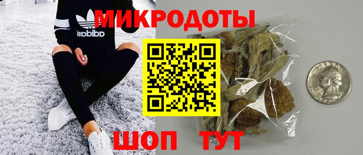 Галлюциногенные грибы Cubensis Зеленокумск