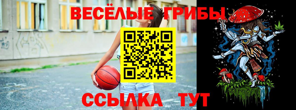 Зеленокумск  Галлюциногенные грибы Psilocybe  Вход с VPN  Галлюциногенные грибы Psilocybe 